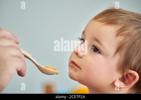 Gros plan de la purée de petit bébé adorable provenant de la cuillère par culture mère anonyme Banque D'Images