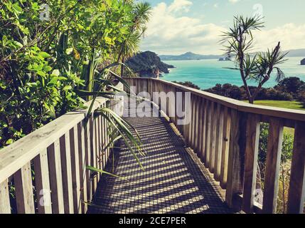 Promenade sur la côte néo-zélandaise Banque D'Images