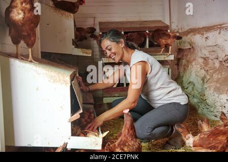 Vue latérale d'une agricultrice dans la maison de poule collectant le œufs d'oiseaux à la ferme Banque D'Images