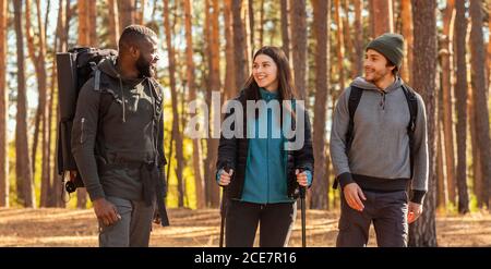 Groupe multiracial de randonneurs sur fond de forêt Banque D'Images