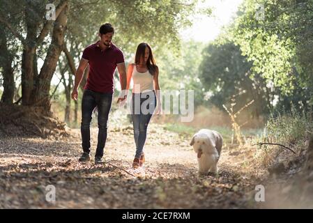 Tendre couple heureux tenant les mains tout en marchant avec l'ancien anglais Sheepdog dans le jardin le jour ensoleillé Banque D'Images