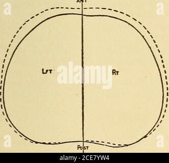 . M. Evans's Comment bien garder; . Figure 83.—coffre pigeon.. Banque D'Images