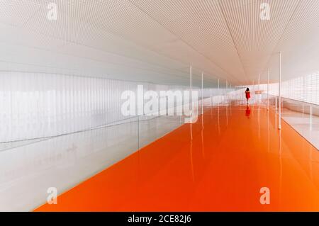 Vue arrière d'une femme méconnue sur un sol orange brillant de passage dans un bâtiment moderne Banque D'Images