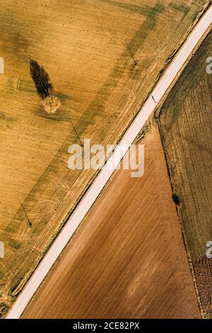 De dessus vue aérienne de la route droite traversant agricole champ dans la zone rurale en été comme un homme marche sur la route Banque D'Images