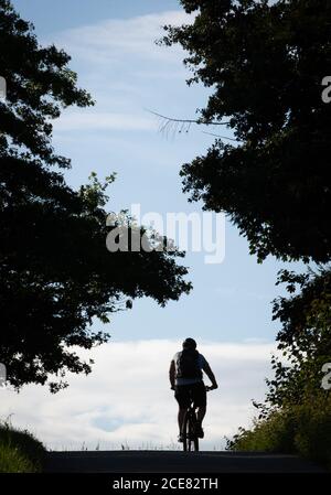 Bad Iburg, Allemagne. 30 août 2020. Un motard de montagne se dirige vers une clairière dans la forêt. Credit: Friso Gentsch/dpa/Alay Live News Banque D'Images