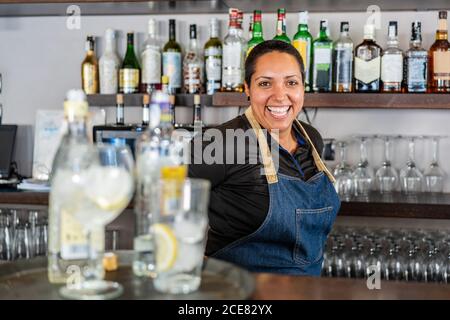 Barkeeper positif dans un tablier debout au comptoir avec de l'alcool boire un verre et sourire à l'appareil photo tout en travaillant dans un café Banque D'Images