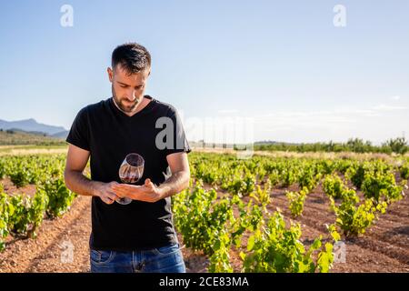 Vue latérale jeune vigneron dans une chemise noire décontractée main avec un verre de vin rouge et de vérifier la qualité pendant travail sur la plantation ensoleillée Banque D'Images
