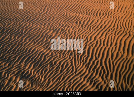 Depuis le dessus de l'arrière-plan texturé des dunes de sable ondulantes Désert au coucher du soleil à Gran Canaria Banque D'Images