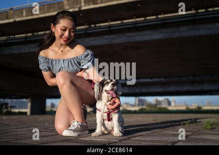 Joyeuse jeune asiatique tenue décontractée embrassant doucement américain Cocker Spaniel tout en s'accroupidant sur la chaussée près du pont sous bleu ciel en ville et vue Banque D'Images