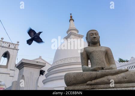 Vue à angle bas de la stupa de pierre blanche de Sri Sudharmalaya Temple bouddhiste et statue de Bouddha contre ciel bleu sans nuages avec Vol d'oiseau dans la ville de Galle au Sri Lanka Banque D'Images
