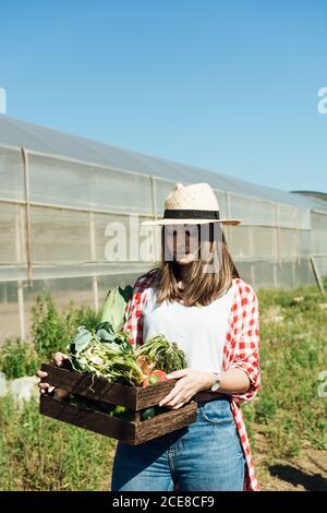 Jardinière féminine pensive en Jean et chapeau de paille debout avec boîte en bois pleine de légumes verts et rouges près de la serre sous le ciel bleu en été Banque D'Images