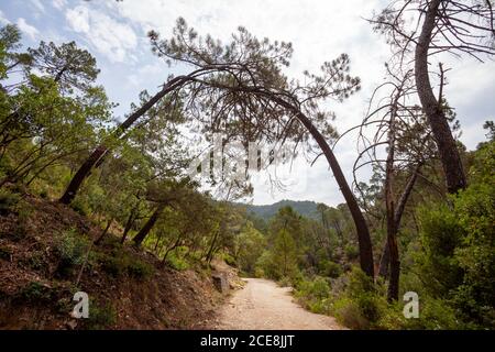 Chemin le long de la rivière Borosa dans le Parc naturel des Sierras de Cazorla, Segura et les Villas Banque D'Images