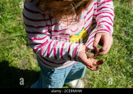 Un tout-petit à tête rouge jouant avec un escargot dans un jardin par elle-même. Banque D'Images