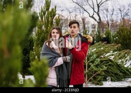 Un beau, jeune couple est de s'amuser à choisir un arbre de Noël pour la maison au marché de l'arbre de Noël. Concept pour l'amour, le nouvel an, Noël et shopping pour des cadeaux. Banque D'Images