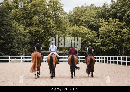 Vue arrière de la compagnie de jockeys femelles en uniforme dans selles de chevaux de châtaignier sur une arène sablonneuse Banque D'Images