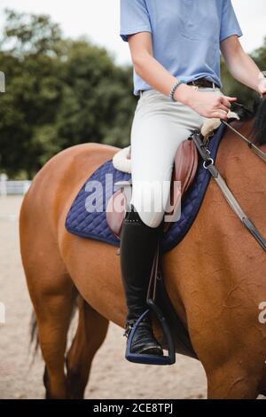 Vue latérale de la récolte non reconnaissable équestriale cheval châtaignier pendant le dressage dans le parc Banque D'Images
