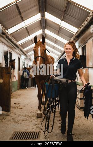 Femme souriante équestriale avec des rênes et une promenade le long de l'écurie avec cheval et regarder l'appareil photo Banque D'Images