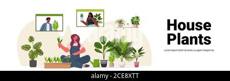 femme plantant des plantes de maison dans la marmite femme de soin de ses plantes illustration vectorielle de l'espace de copie horizontal intégral de l'intérieur du salon Illustration de Vecteur