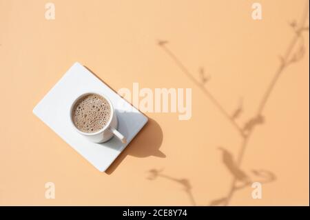 Vue de dessus d'une tasse de café noir chaud plaque blanche sur surface beige avec ombre de la branche de la plante Banque D'Images