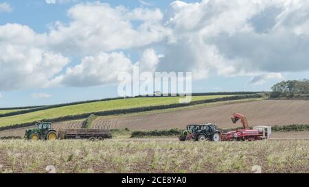 Tracteurs Claas Arion 640, John Deere 6155R et Valtra avec récolteuse de pommes de terre Grimme GT 170 travaillant dans un champ avec la récolte de pommes de terre au Royaume-Uni 2020. Champ 16:9 Banque D'Images