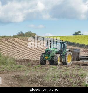 Décoration verte familière du tracteur 4WD John Deere 6155R transportant une remorque avec des pommes de terre récoltées hors du champ. Royaume-Uni récolte de pommes de terre en 2020. Banque D'Images