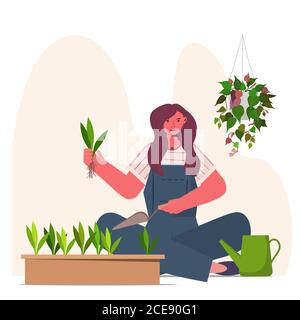 femme plantant des plantes de maison dans la marmite femme de soin de ses plantes illustration vectorielle portrait Illustration de Vecteur