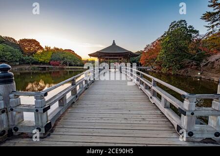 Un magnifique kiosque dans le parc Nara au Japon pendant le coucher du soleil. Banque D'Images