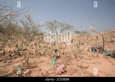 Déchets et sacs en plastique piégés dans des buissons épineux à la périphérie d'Uribia, la capitale indigène du pays, département de la Guajira, Banque D'Images