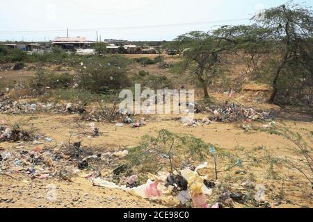 Déchets et sacs en plastique piégés dans des buissons épineux à la périphérie d'Uribia, la capitale indigène du pays, département de la Guajira, Banque D'Images