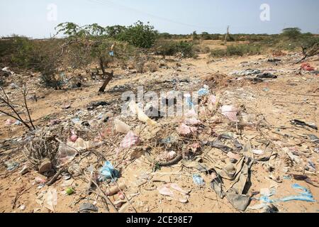 Déchets et sacs en plastique piégés dans des buissons épineux à la périphérie d'Uribia, la capitale indigène du pays, département de la Guajira, Banque D'Images