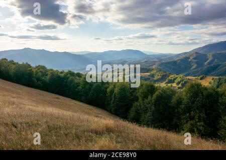 campagne montagneuse dans l'après-midi. beau paysage des carpates. vallée de la crête de borzhava au loin. nuages sur le ciel. belette ensoleillée Banque D'Images