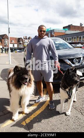 Sevenoaks, Kent, Royaume-Uni. 31 août 2020. Un homme se tient avec deux chiens Akita américains tandis que les gens ont le meilleur de la dernière banque de vacances cette année et le dernier jour du gouvernement manger dehors pour aider le programme. Il y avait des files d'attente devant les restaurants Costa et Wagamama à Sevenoaks, dans le Kent. Le temps s'est légèrement amélioré par rapport au week-end humide avec un ciel ensoleillé et nuageux et une hauteur de 16C. Crédit : Keith Larby/Alay Live News Banque D'Images