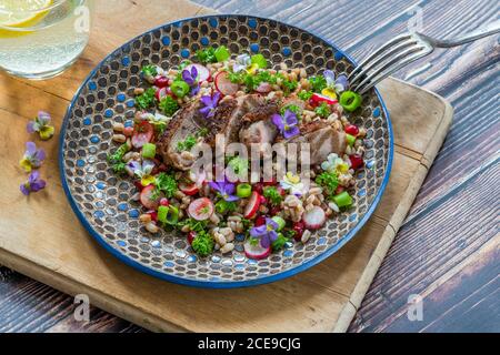 Salade de canard croustillante, d'épeautre et de grenade garnie de fleurs de alto Banque D'Images