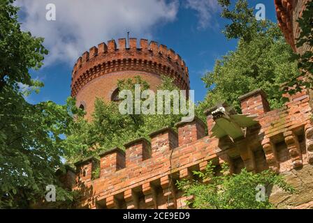 Tour et mur crénelés, gargouille, au château de Kamieniec Ząbkowicki, dans la région de la Basse-Silésie, en Pologne Banque D'Images