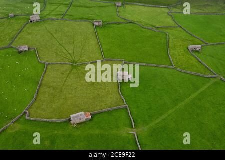 Vue aérienne sur Swaledale, les granges en pierre et les murs en pierre sèche de Gunnerside dans les Yorkshire Dales, Angleterre. Anciennes granges et murs en pierre sèche Banque D'Images