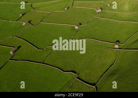 Vue aérienne sur Swaledale, les granges en pierre et les murs en pierre sèche de Gunnerside dans les Yorkshire Dales, Angleterre. Anciennes granges et murs en pierre sèche Banque D'Images