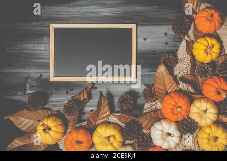 Vue du dessus du jour d'Halloween et du jour de Thanksgiving, citrouille orange, citrouille jaune, citrouille blanche, chandail à coudre, pomme de pin et tableau noir sur le dos sombre Banque D'Images