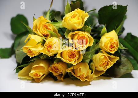 Gros plan d'un bouquet de roses jaunes sur un surface blanche Banque D'Images
