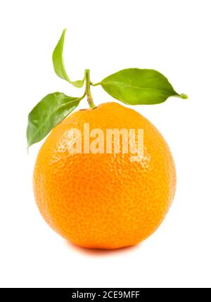 Mandarine avec feuilles Banque D'Images