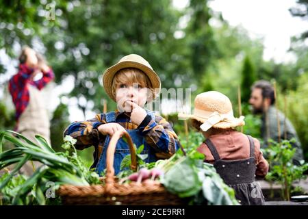 Famille avec de petits enfants jardinage à la ferme, la culture de légumes biologiques. Banque D'Images