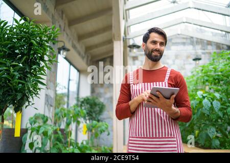 Homme jardinier avec une tablette debout en serre, travaillant. Banque D'Images