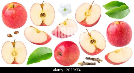 Pommes rouges isolées. Collection de pommes rouges entières et coupées de formes doffères, de feuilles et de fleurs de pomme isolées sur fond blanc Banque D'Images