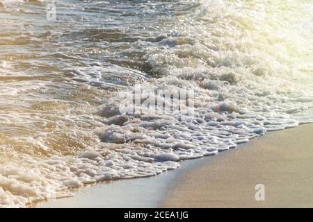 Vague de l'océan sur une plage de sable. Arrière-plan de la nature. Concept de pose à plat. Place pour votre texte. Banque D'Images