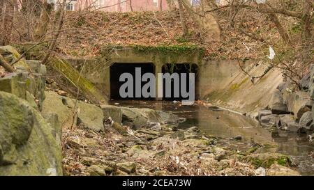 Un tunnel sombre et spooky dans un ruisseau peu profond dedans Une forêt d'automne Banque D'Images