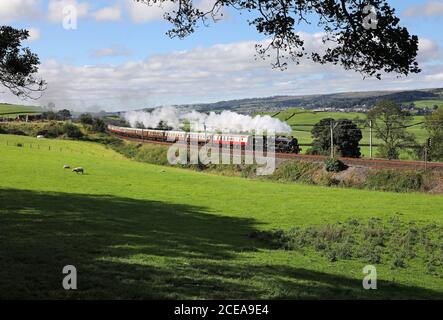 45231 passes Benson Hall nr Oxenholme avec Saphos trains Tour lakelander. Banque D'Images