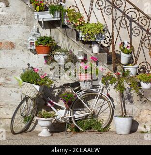 Mur extérieur d'un bâtiment, avec un vieux vélo et un escalier, richement décoré avec beaucoup de pots de fleurs Banque D'Images