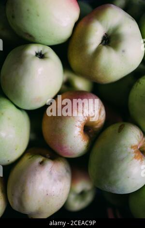 Vue de dessus de tas de pommes fraîches mûres dans doux lumière du jour Banque D'Images