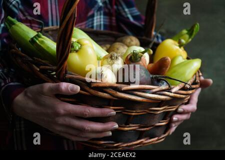 Gros plan femme tenant un grand panier en osier avec légumes frais juteux, carottes, betteraves, cloche poivrons, courgettes, pommes de terre et oignons de son propre jardin sombre Banque D'Images