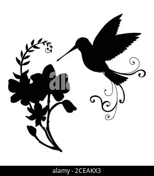 Modèle vectoriel colibri oiseau et fleurs décoratives. Illustration de silhouette noire isolée sur fond blanc. Pour les invitations de mariage, la conception, l'impression Illustration de Vecteur