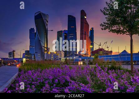 Vue en soirée sur les tours de la ville de Moscou avec fleurs violettes le premier plan Banque D'Images